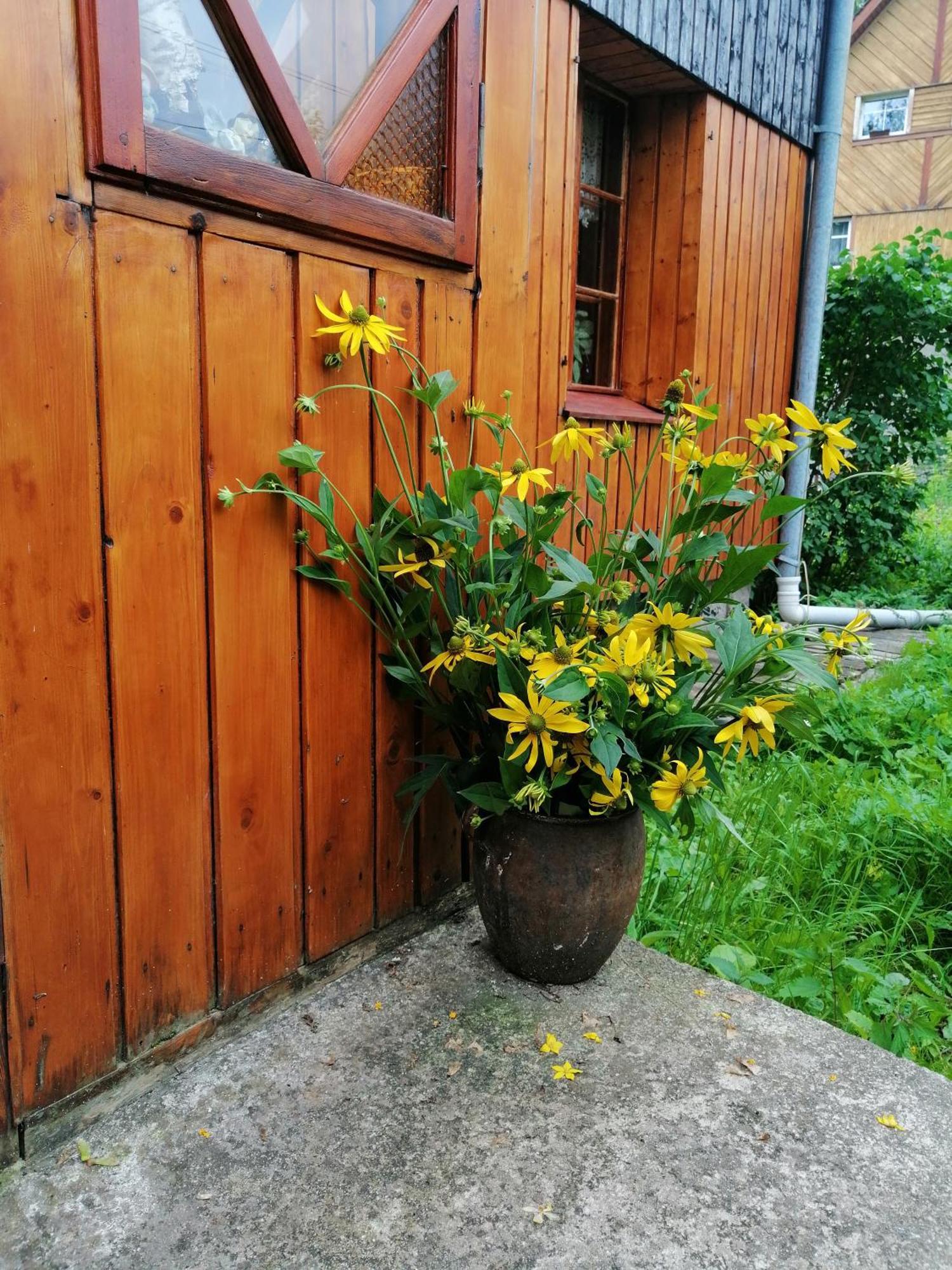Villa Nostalgia Schreiberhau Exterior foto